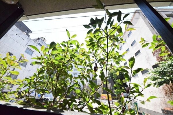 ステージグランデ八王子の物件内観写真